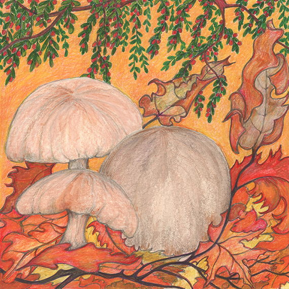 Nature Baby by Tracey Farrell Nature Baby by Tracey Farrell