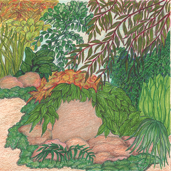 Nature Baby by Tracey Farrell Nature Baby by Tracey Farrell