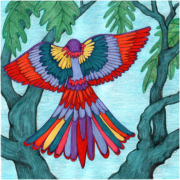 Bird Of Paradise #13 by Tracey Farrell