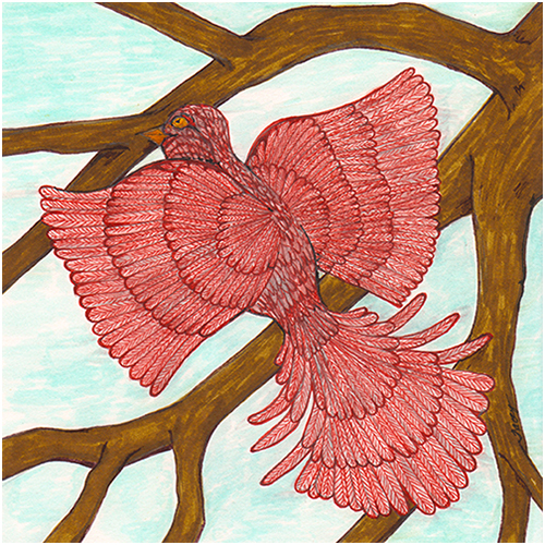 Bird Of Paradise #36 by Tracey Farrell