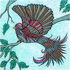 Bird Of Paradise #24