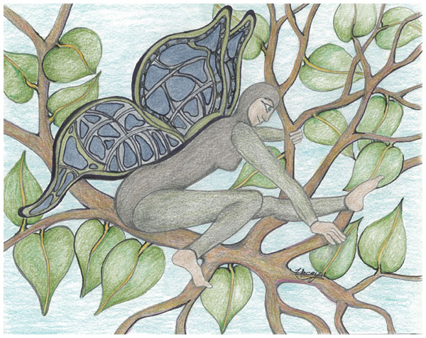 Landing by Tracey Farrell Landing by Tracey Farrell