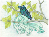 Wind Song