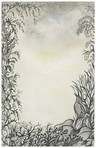 Flower Border by Tracey Farrell Flower Border by Tracey Farrell