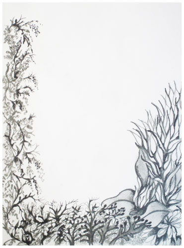 Flower Field by Tracey Farrell