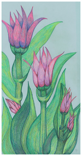 Summer Song by Tracey Farrell