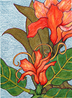 Blazing by Tracey Farrell