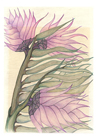 Exotic Purple by Tracey Farrell