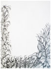 Flower Field by Tracey Farrell
