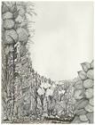 Flower Field by Tracey Farrell