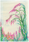 Field Of Dream by Tracey Farrell