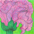 Purple Emancipation 1