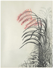 Plumes Of Red by Tracey Farrell