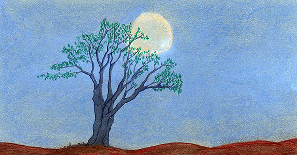 Moon by Tracey Farrell