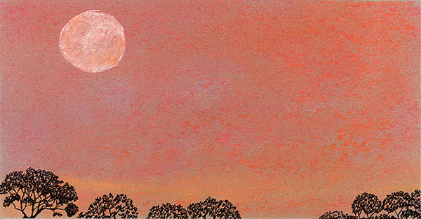 Moon by Tracey Farrell