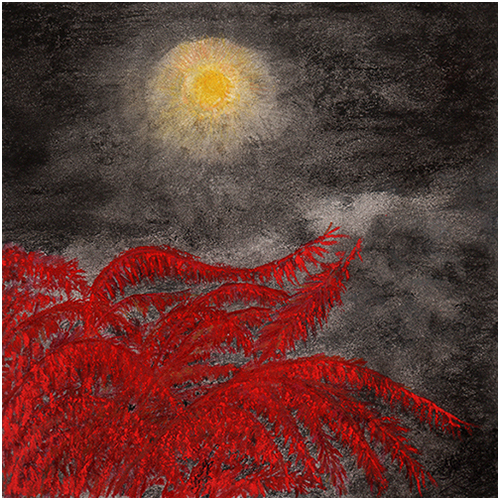 Moon by Tracey Farrell