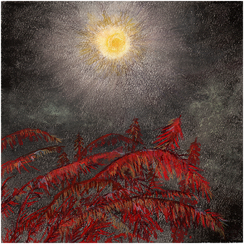 Moon by Tracey Farrell