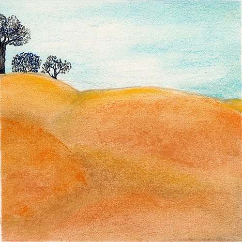 Sky by Tracey Farrell