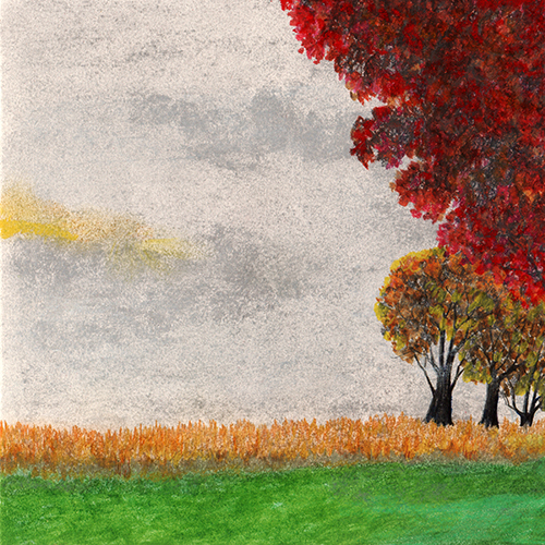 Sky by Tracey Farrell