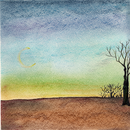 Sky by Tracey Farrell