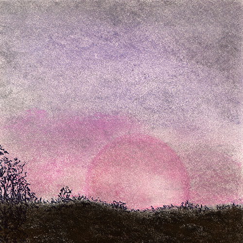 Sky by Tracey Farrell