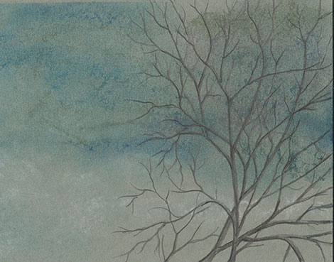 Sky by Tracey Farrell