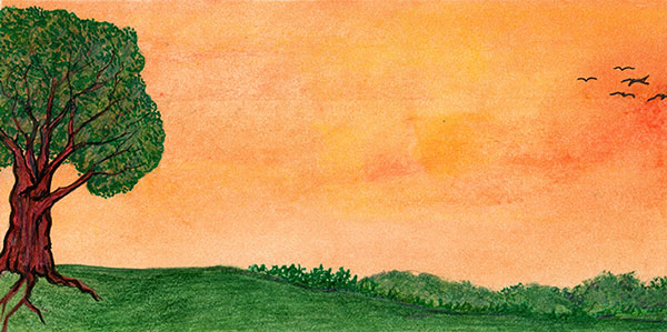 Sky by Tracey Farrell