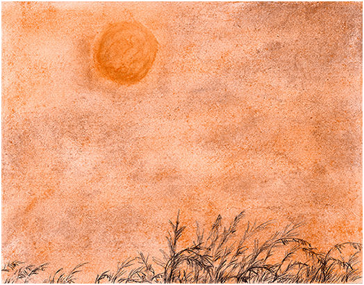 Sky by Tracey Farrell