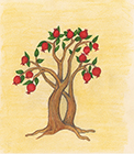 Pomegranate Tree