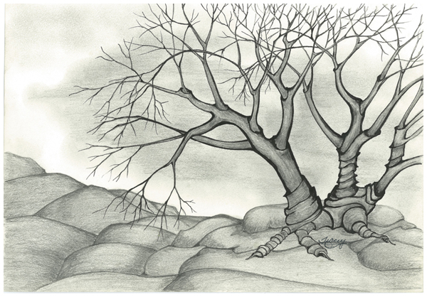 Ancient Spiral by Tracey Farrell