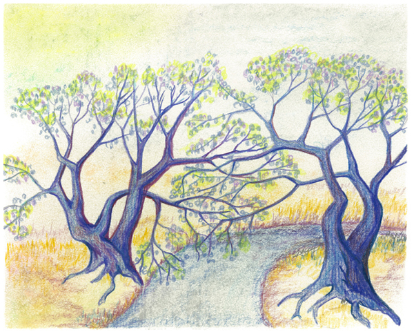 Confetti by Tracey Farrell