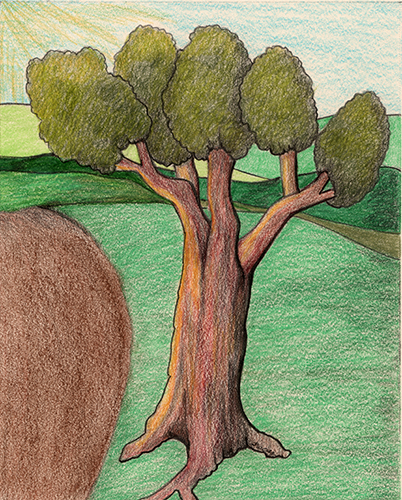 Cedar Glow I by Tracey Farrell
