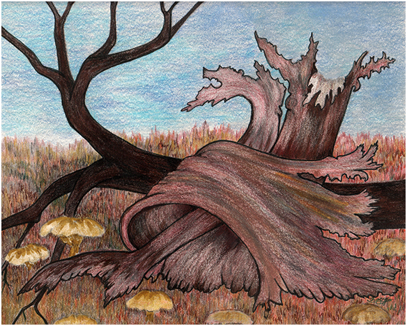 Decaying 2 by Tracey Farrell