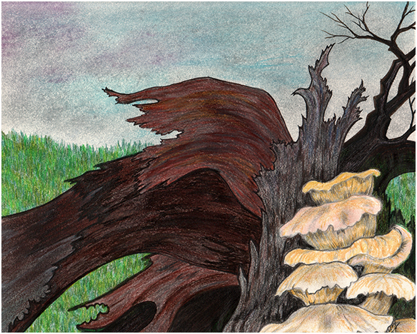 Decaying 4 by Tracey Farrell