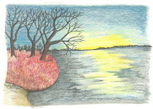 Evening Calm by Tracey Farrell