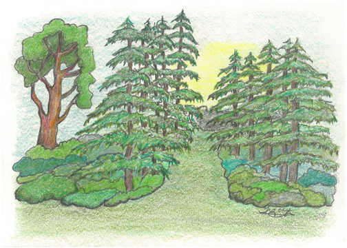 Forest Entrance by Tracey Farrell