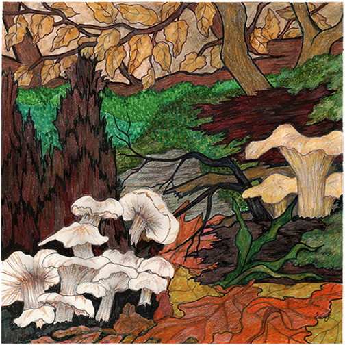 Forest Floor by Tracey Farrell