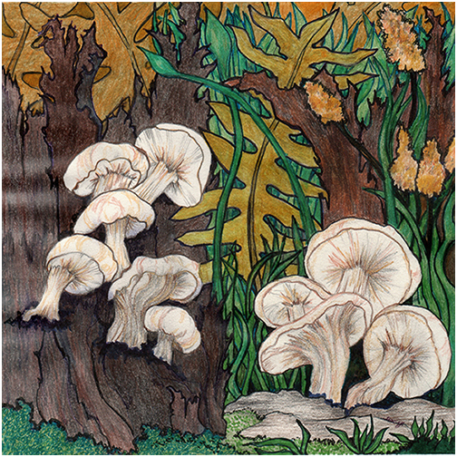 Forest Floor by Tracey Farrell