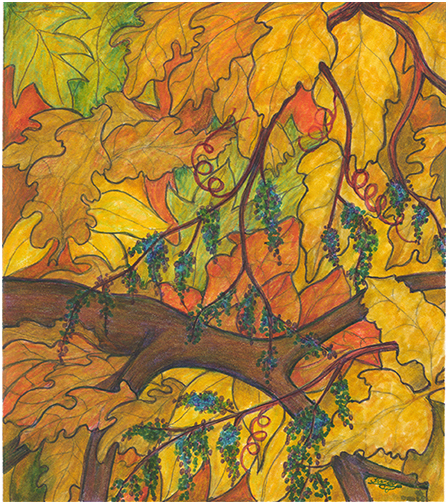 Forest Floor by Tracey Farrell