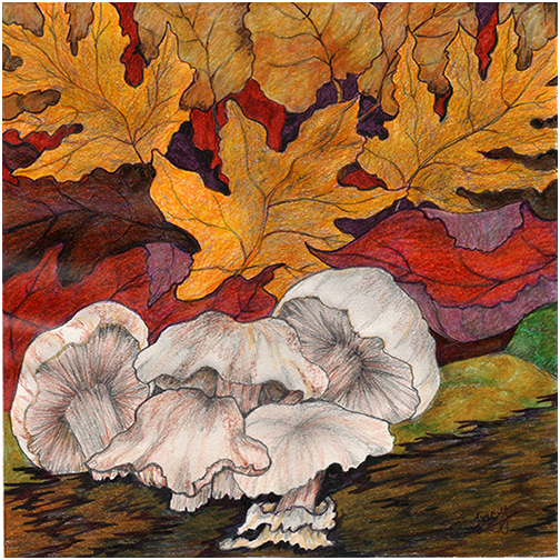Forest Floor by Tracey Farrell