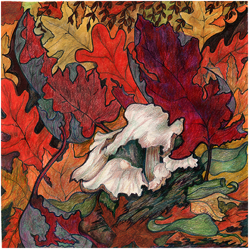 Forest Floor by Tracey Farrell