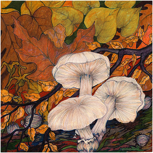 Forest Floor by Tracey Farrell Forest Floor by Tracey Farrell