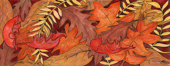 Forest Floor by Tracey Farrell