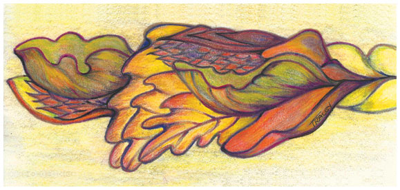 Fall Leaves by Tracey Farrell