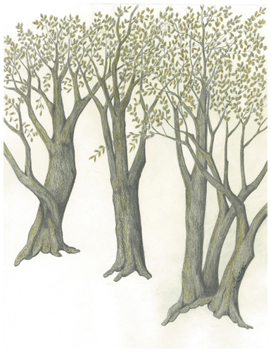 Golden Harmony III by Tracey Farrell