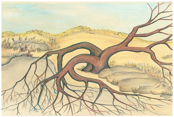 Golden Morning by Tracey Farrell Golden Morning by Tracey Farrell