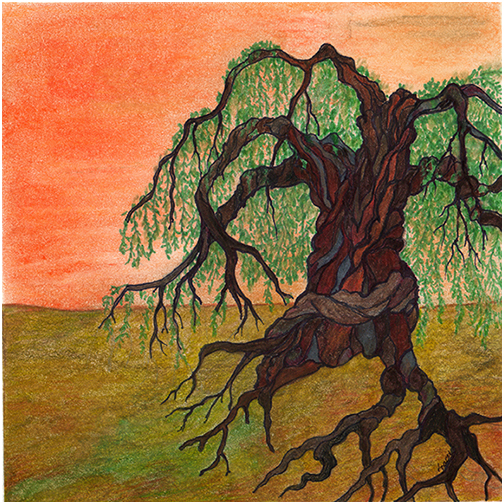 Gnarly Tree by Tracey Farrell