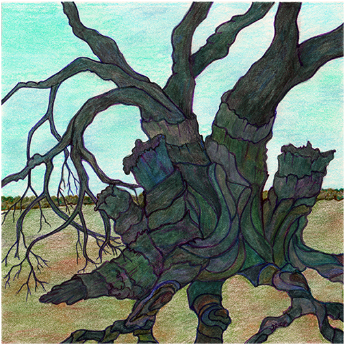 Gnarly Tree by Tracey Farrell