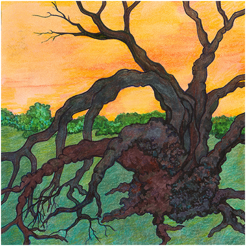 Gnarly Tree by Tracey Farrell