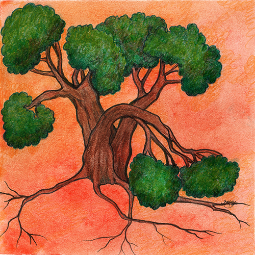 Orange Illusion by Tracey Farrell